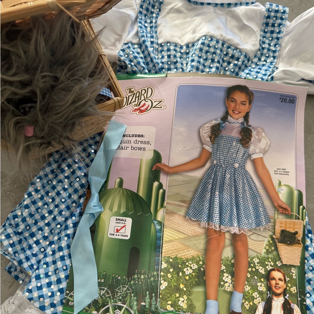 Blue Gingham Dorothy Costume Dress